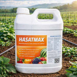 Hasatmax